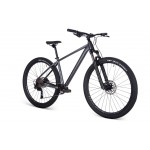 ASPECT 29" NICKEL ELITE XL серый